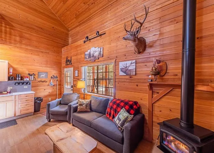 Cabin#2 Elk Hallow - Pet Friendly - Sleeps 6 - Playground & Game Room